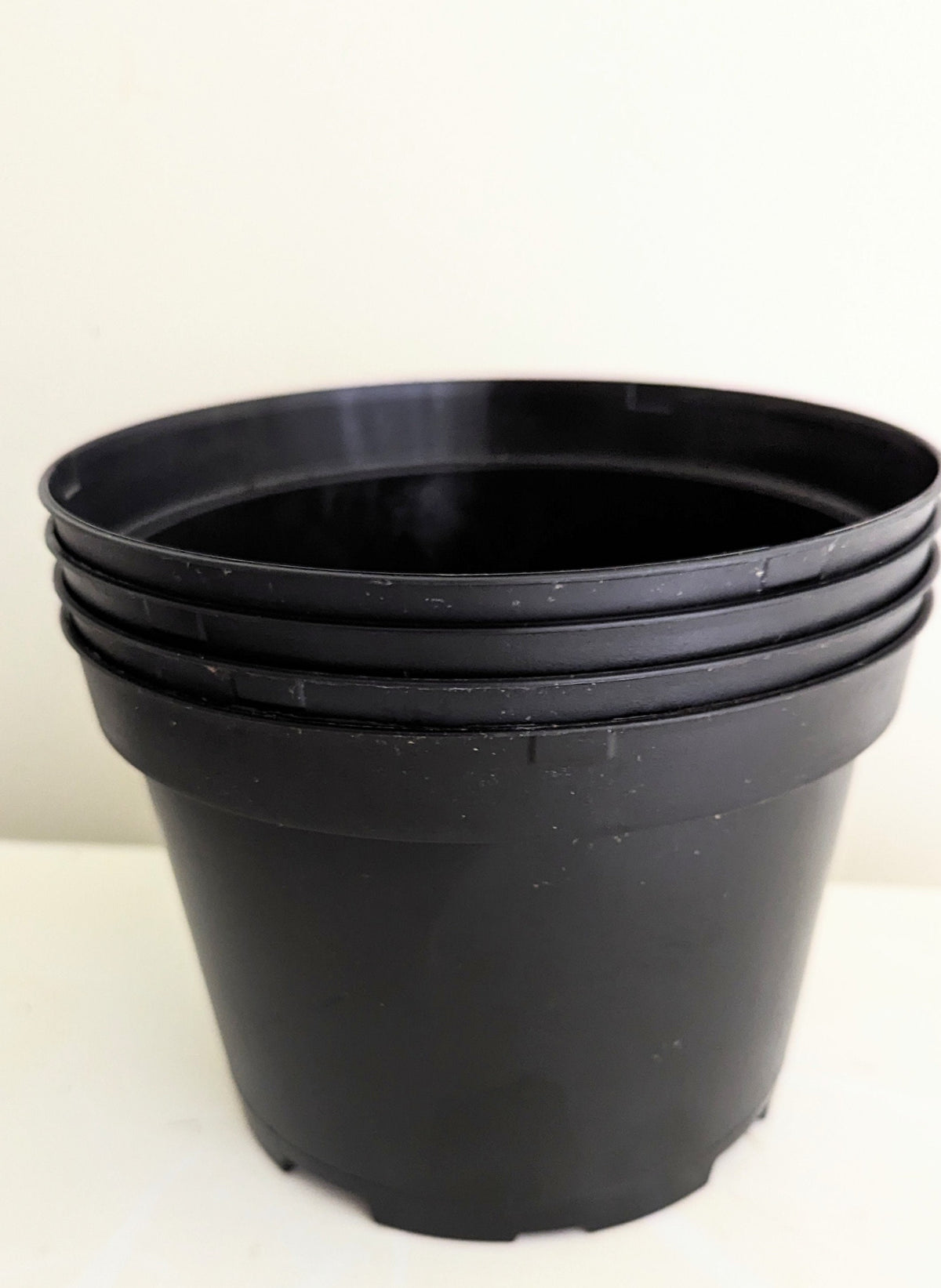 Four plastic 6 inch diameter plant growing pots with good drainage for transplants and  seeds.