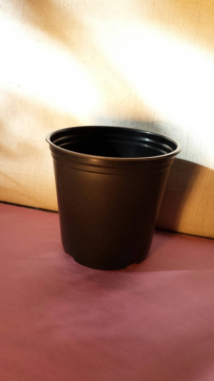 Twenty Five Plastic Plant Pots Bulk Sale. For Seed Starting And Transplants.