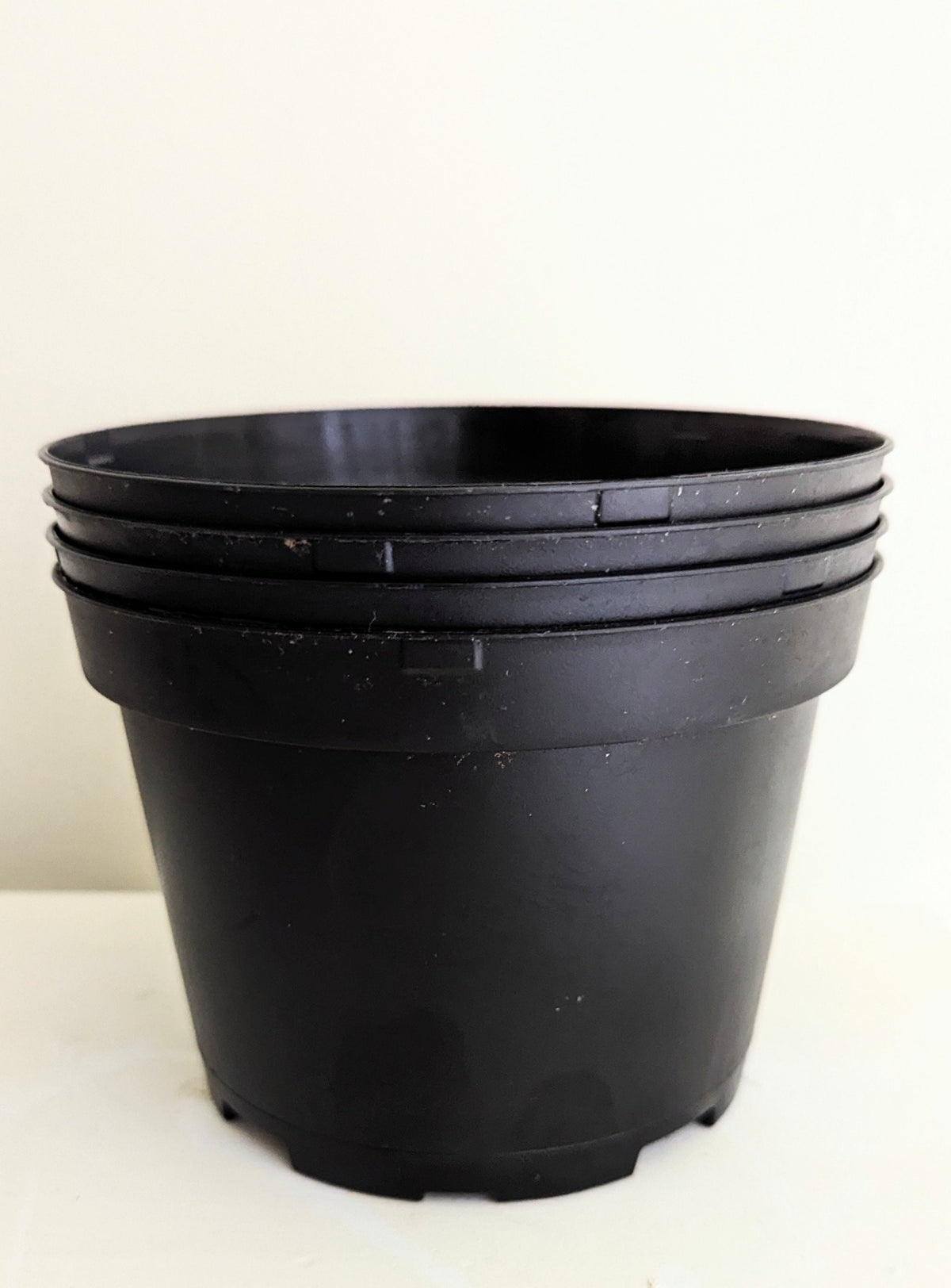 Four plastic 6 inch diameter plant growing pots with good drainage for transplants and  seeds.