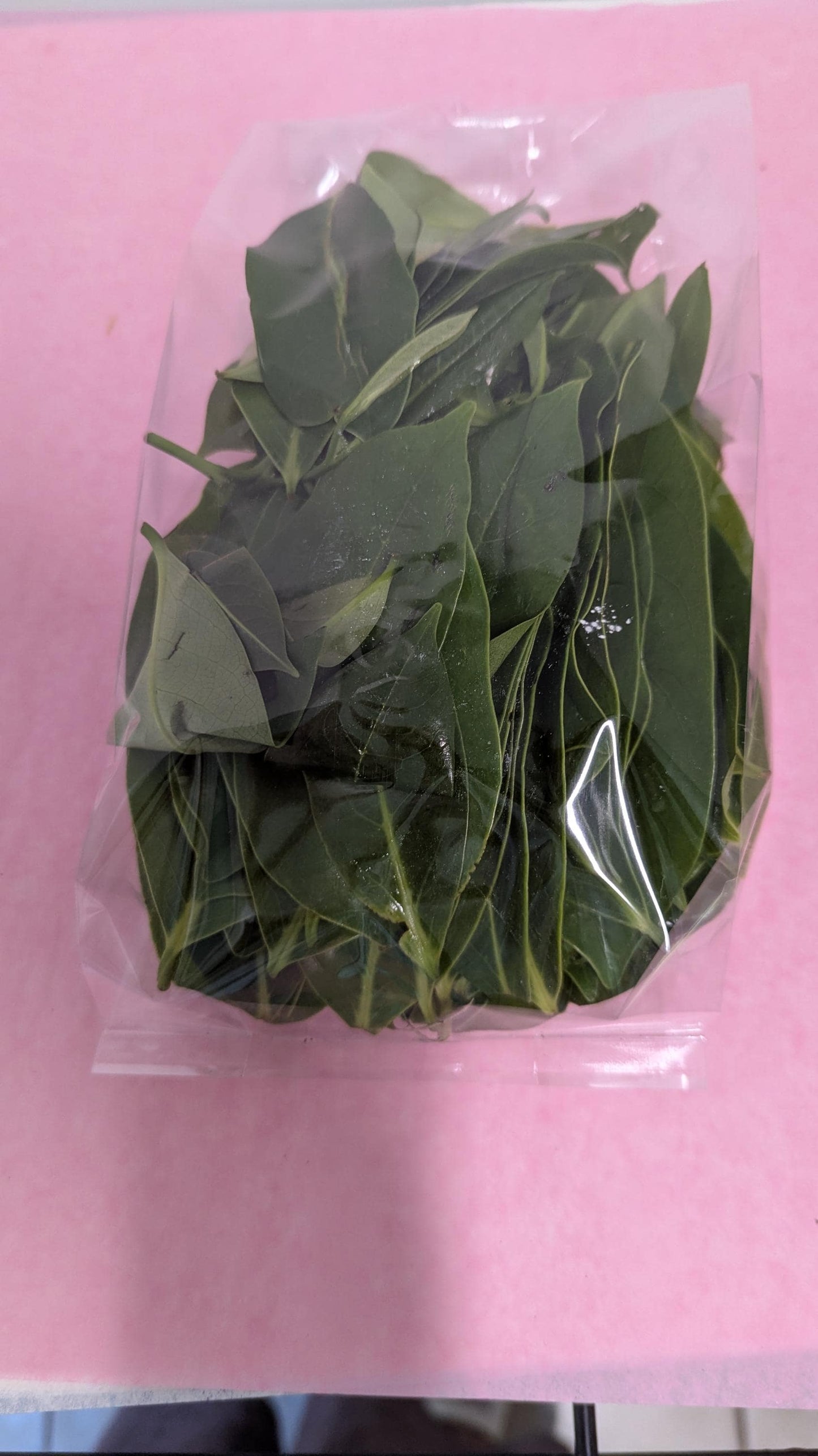 Organic Soursop Leaves | 2oz Freshly Harvested | Tea & Wellness