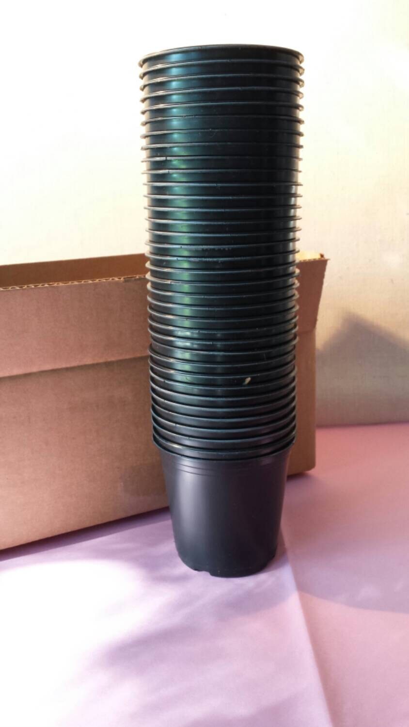 Twenty Five Plastic Plant Pots Bulk Sale. For Seed Starting And Transplants.