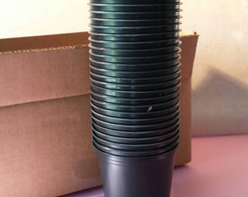 Twenty Five Plastic Plant Pots Bulk Sale. For Seed Starting And Transplants.