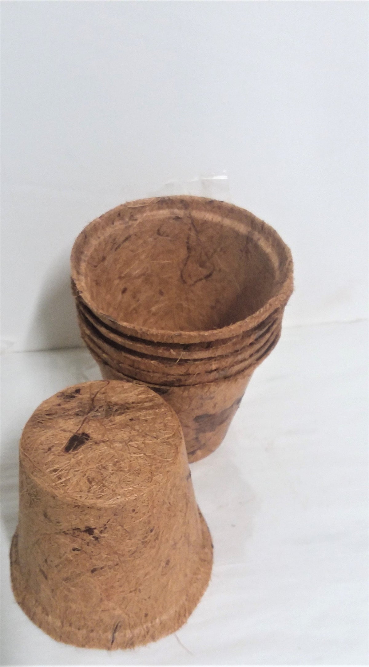Coir Plant Pots - 4 Inch - Set of 6 with Slow Release Plant Food