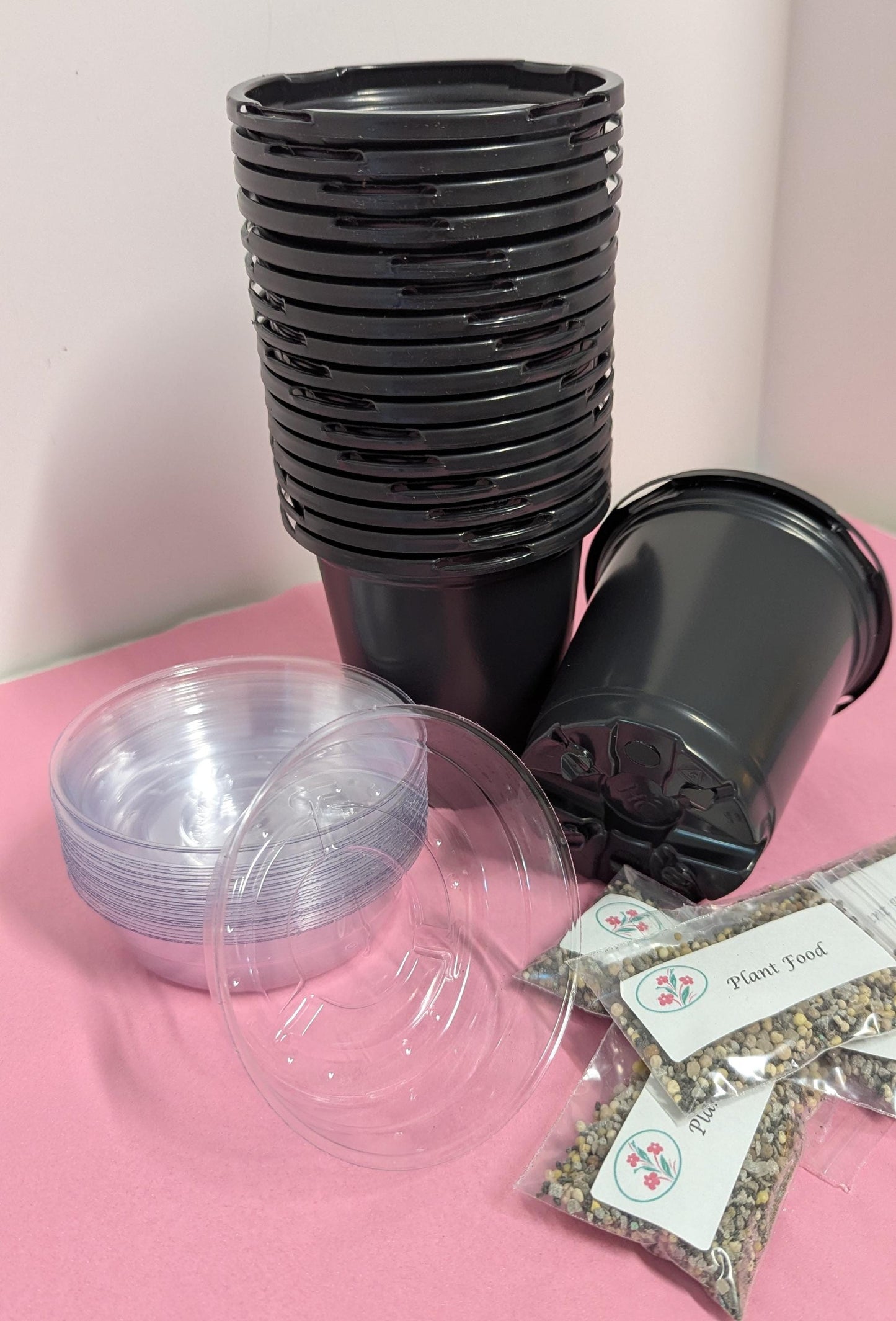 Houseplant Cuttings Gift Box.10 Starter Plants with Pots & Food